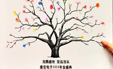 龙行盛世、宏运当头——2023康宏电子年会盛典